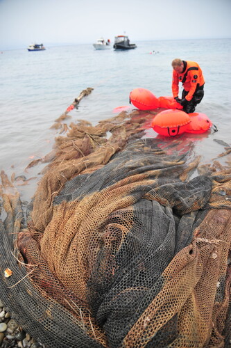 Hyundai und Healthy Seas haben vor der Westküste Griechenlands fast 43 Tonnen Müll aus dem Meer geholt.