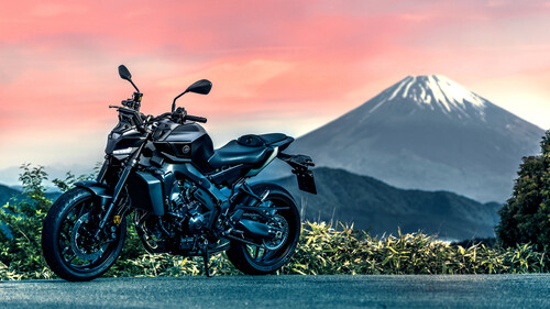 Yamaha MT-09 Y-AMT: Kupplungs- und Schalthebel entfallen.